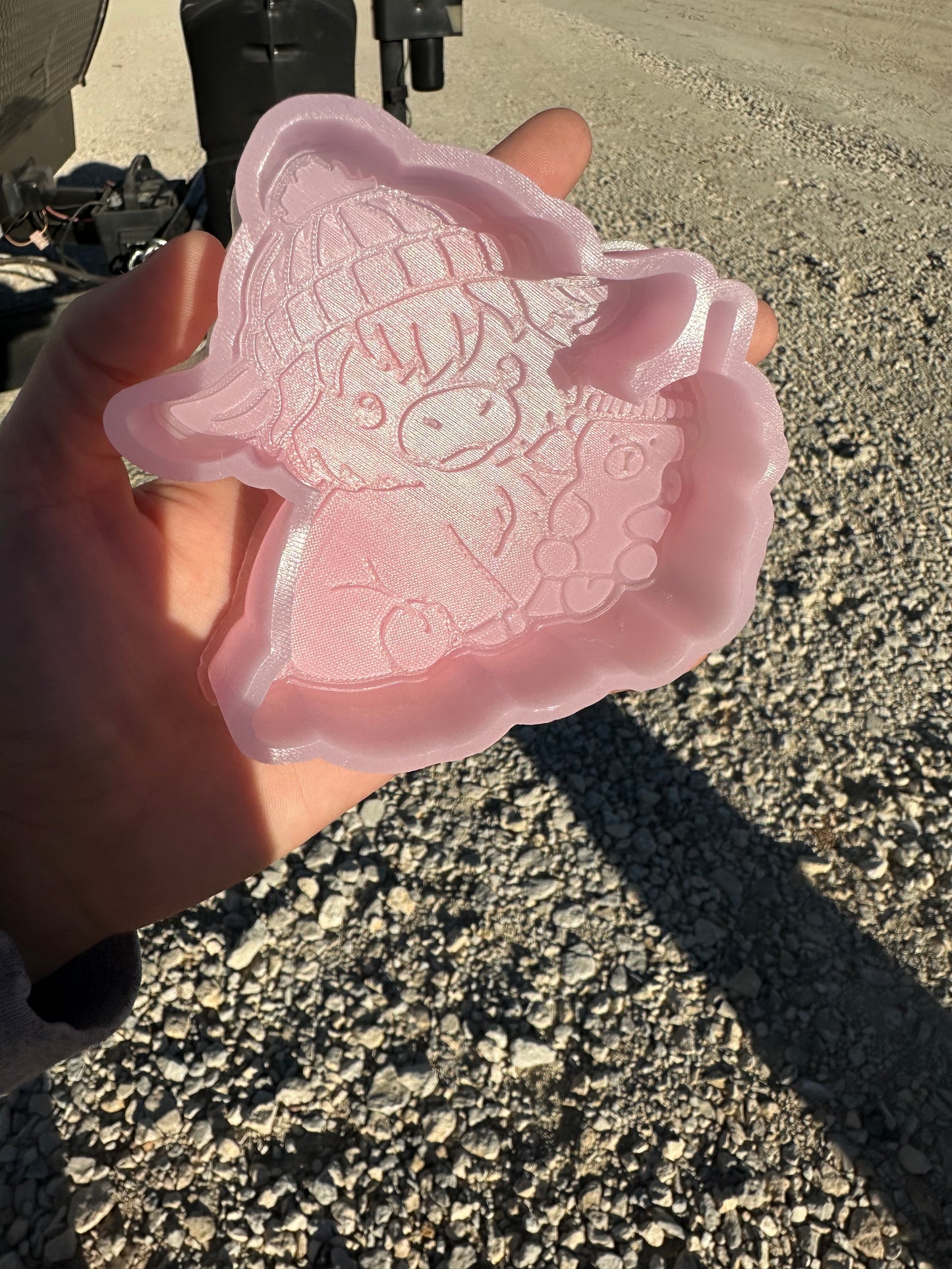 B grade Starby highland