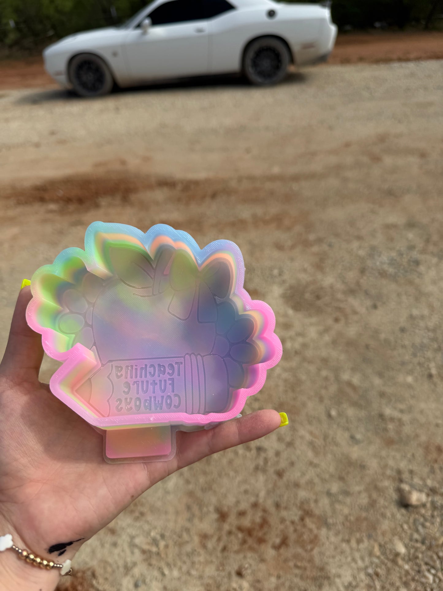 Teaching future cowboys TFS exclusive mold
