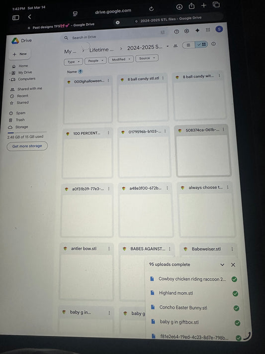 2024-2025 STL retiring files